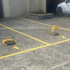 Outdoor lot parking on Union Street in Pyrmont New South Wales